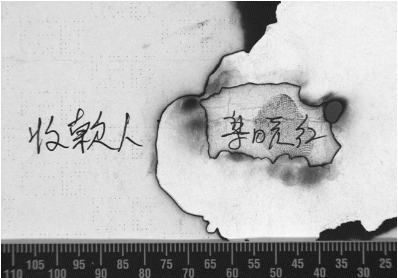 篡改（污损）文件鉴定/变造文件鉴定